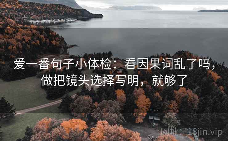 爱一番句子小体检：看因果词乱了吗，做把镜头选择写明，就够了